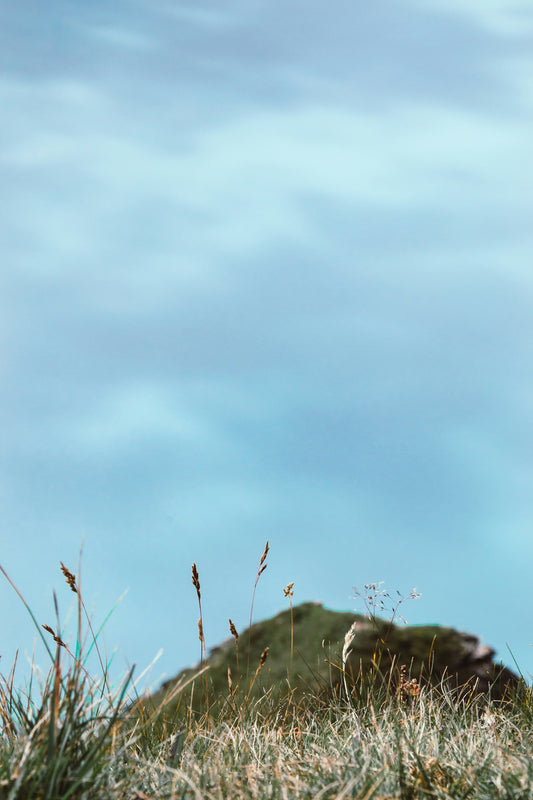 black and green mountain range under white clouds