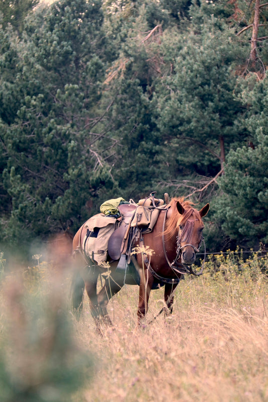 a horse with a saddle on it